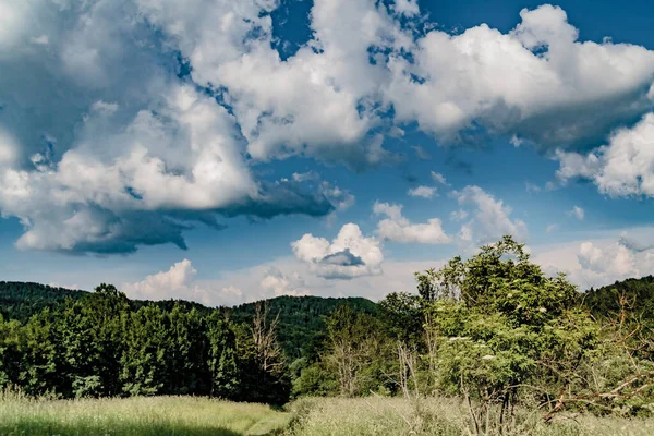 Lopienka - Bieszczady Dağları 'nın eski bir köyü- 1947 yılında komünist Polonyalı yetkililer tarafından yerlerinden edildi.