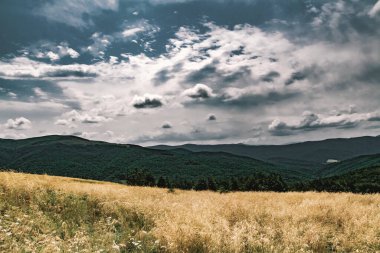 Wideki 'den Bukowe Berdo ve Tarnica' ya giden yol Polonya 'daki Bieszczady Dağları' nda Woosate 'a çıkıyor.