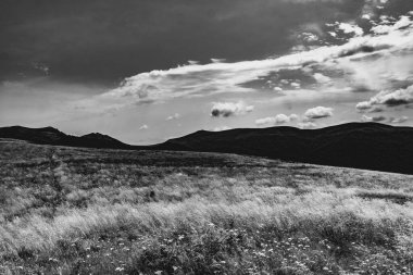 Wideki 'den Bukowe Berdo ve Tarnica' ya giden yol Polonya 'daki Bieszczady Dağları' nda Woosate 'a çıkıyor.