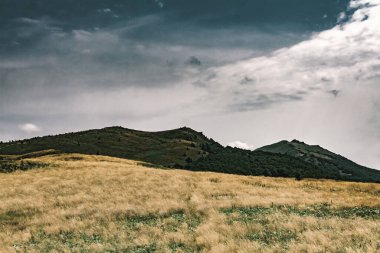 Wideki 'den Bukowe Berdo ve Tarnica' ya giden yol Polonya 'daki Bieszczady Dağları' nda Woosate 'a çıkıyor.