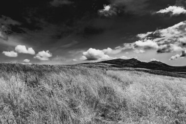 Wideki 'den Bukowe Berdo ve Tarnica' ya giden yol Polonya 'daki Bieszczady Dağları' nda Woosate 'a çıkıyor.