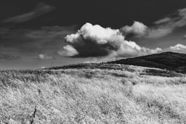 Wideki 'den Bukowe Berdo ve Tarnica' ya giden yol Polonya 'daki Bieszczady Dağları' nda Woosate 'a çıkıyor.