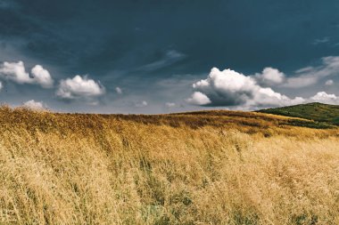 Wideki 'den Bukowe Berdo ve Tarnica' ya giden yol Polonya 'daki Bieszczady Dağları' nda Woosate 'a çıkıyor.