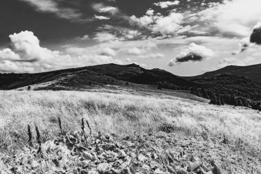 Wideki 'den Bukowe Berdo ve Tarnica' ya giden yol Polonya 'daki Bieszczady Dağları' nda Woosate 'a çıkıyor.