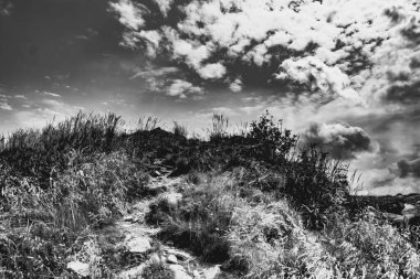 Wideki 'den Bukowe Berdo ve Tarnica' ya giden yol Polonya 'daki Bieszczady Dağları' nda Woosate 'a çıkıyor.