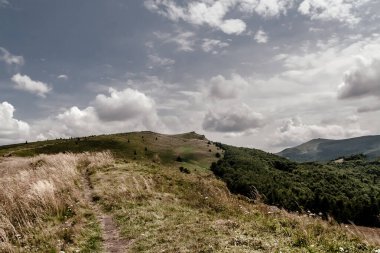 Wideki 'den Bukowe Berdo ve Tarnica' ya giden yol Polonya 'daki Bieszczady Dağları' nda Woosate 'a çıkıyor.