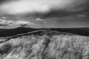 Wideki 'den Bukowe Berdo ve Tarnica' ya giden yol Polonya 'daki Bieszczady Dağları' nda Woosate 'a çıkıyor.