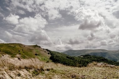 Wideki 'den Bukowe Berdo ve Tarnica' ya giden yol Polonya 'daki Bieszczady Dağları' nda Woosate 'a çıkıyor.