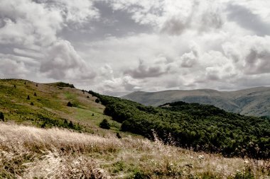 Wideki 'den Bukowe Berdo ve Tarnica' ya giden yol Polonya 'daki Bieszczady Dağları' nda Woosate 'a çıkıyor.