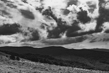 Wideki 'den Bukowe Berdo ve Tarnica' ya giden yol Polonya 'daki Bieszczady Dağları' nda Woosate 'a çıkıyor.