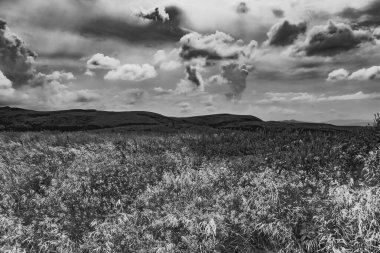 Wideki 'den Bukowe Berdo ve Tarnica' ya giden yol Polonya 'daki Bieszczady Dağları' nda Woosate 'a çıkıyor.