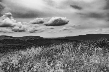 Wideki 'den Bukowe Berdo ve Tarnica' ya giden yol Polonya 'daki Bieszczady Dağları' nda Woosate 'a çıkıyor.