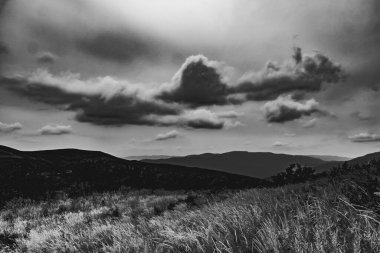 Wideki 'den Bukowe Berdo ve Tarnica' ya giden yol Polonya 'daki Bieszczady Dağları' nda Woosate 'a çıkıyor.