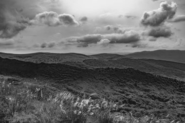Wideki 'den Bukowe Berdo ve Tarnica' ya giden yol Polonya 'daki Bieszczady Dağları' nda Woosate 'a çıkıyor.