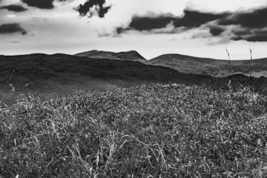 Wideki 'den Bukowe Berdo ve Tarnica' ya giden yol Polonya 'daki Bieszczady Dağları' nda Woosate 'a çıkıyor.