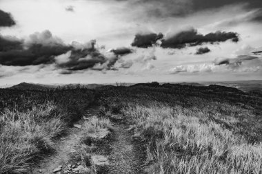 Wideki 'den Bukowe Berdo ve Tarnica' ya giden yol Polonya 'daki Bieszczady Dağları' nda Woosate 'a çıkıyor.