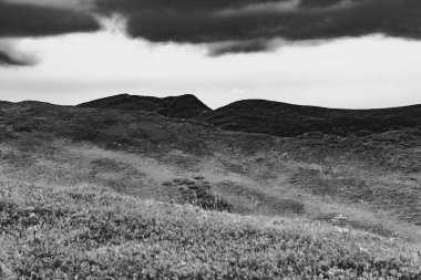 Wideki 'den Bukowe Berdo ve Tarnica' ya giden yol Polonya 'daki Bieszczady Dağları' nda Woosate 'a çıkıyor.