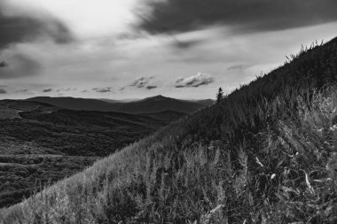 Wideki 'den Bukowe Berdo ve Tarnica' ya giden yol Polonya 'daki Bieszczady Dağları' nda Woosate 'a çıkıyor.