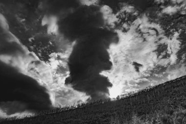 Wideki 'den Bukowe Berdo ve Tarnica' ya giden yol Polonya 'daki Bieszczady Dağları' nda Woosate 'a çıkıyor.