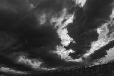 Wideki 'den Bukowe Berdo ve Tarnica' ya giden yol Polonya 'daki Bieszczady Dağları' nda Woosate 'a çıkıyor.