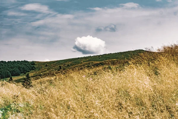 Wideki 'den Bukowe Berdo ve Tarnica' ya giden yol Polonya 'daki Bieszczady Dağları' nda Woosate 'a çıkıyor.