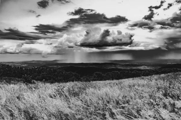 Camino Wideki Través Bukowe Berdo Tarnica Woosate Las Montañas Bieszczady — Foto de Stock