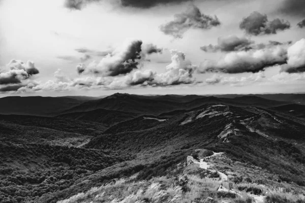 Wideki 'den Bukowe Berdo ve Tarnica' ya giden yol Polonya 'daki Bieszczady Dağları' nda Woosate 'a çıkıyor.