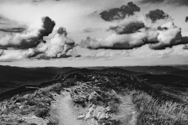 Strada Wideki Attraverso Bukowe Berdo Tarnica Woosate Nelle Montagne Bieszczady — Foto Stock