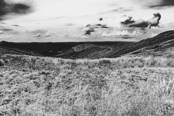 Wideki 'den Bukowe Berdo ve Tarnica' ya giden yol Polonya 'daki Bieszczady Dağları' nda Woosate 'a çıkıyor.