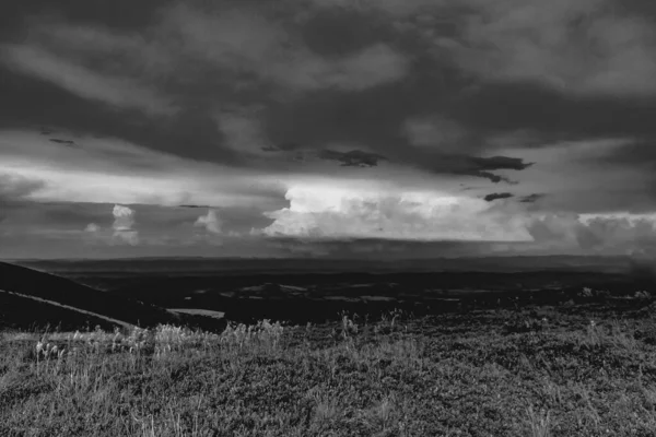 Wideki 'den Bukowe Berdo ve Tarnica' ya giden yol Polonya 'daki Bieszczady Dağları' nda Woosate 'a çıkıyor.