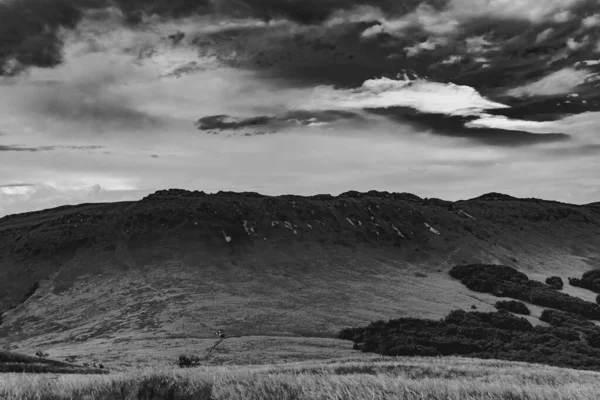 Cesta Wideki Přes Bukowe Berdo Tarnica Woosate Bieszczady Polsku — Stock fotografie