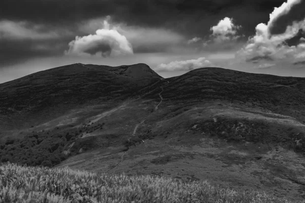 Strada Wideki Attraverso Bukowe Berdo Tarnica Woosate Nelle Montagne Bieszczady — Foto Stock