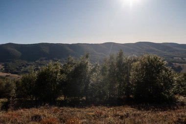 Polonya 'daki Bieszczady Dağları' ndaki Carynska Polonyna 'dan görüntü