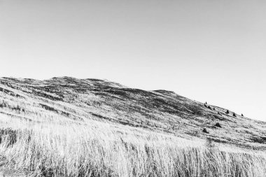 Polonya 'daki Bieszczady Dağları' ndaki Carynska Polonyna 'dan görüntü