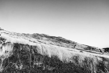Polonya 'daki Bieszczady Dağları' ndaki Carynska Polonyna 'dan görüntü