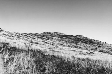 Polonya 'daki Bieszczady Dağları' ndaki Carynska Polonyna 'dan görüntü
