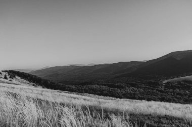 Polonya 'daki Bieszczady Dağları' ndaki Carynska Polonyna 'dan görüntü