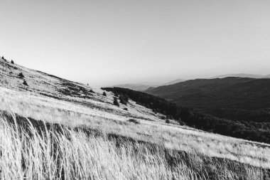 Polonya 'daki Bieszczady Dağları' ndaki Carynska Polonyna 'dan görüntü
