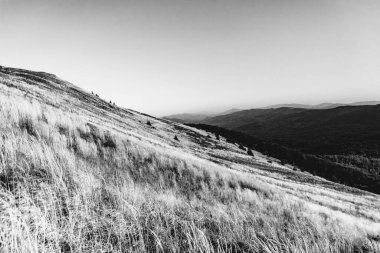 Polonya 'daki Bieszczady Dağları' ndaki Carynska Polonyna 'dan görüntü