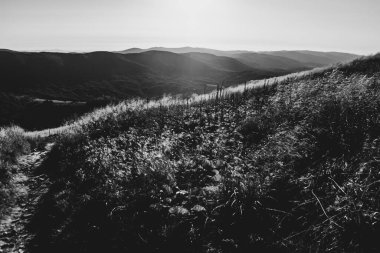 Polonya 'daki Bieszczady Dağları' ndaki Carynska Polonyna 'dan görüntü