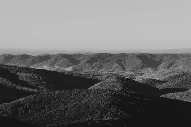 Polonya 'daki Bieszczady Dağları' ndaki Carynska Polonyna 'dan görüntü