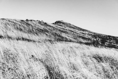 Polonya 'daki Bieszczady Dağları' ndaki Carynska Polonyna 'dan görüntü