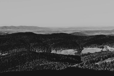 Polonya 'daki Bieszczady Dağları' ndaki Carynska Polonyna 'dan görüntü