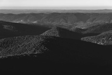 Polonya 'daki Bieszczady Dağları' ndaki Carynska Polonyna 'dan görüntü