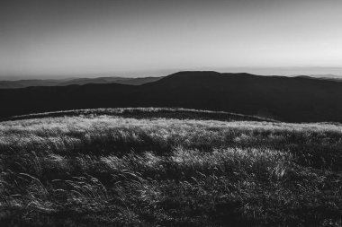 Polonya 'daki Bieszczady Dağları' ndaki Carynska Polonyna 'dan görüntü