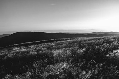 Polonya 'daki Bieszczady Dağları' ndaki Carynska Polonyna 'dan görüntü