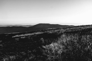 Polonya 'daki Bieszczady Dağları' ndaki Carynska Polonyna 'dan görüntü