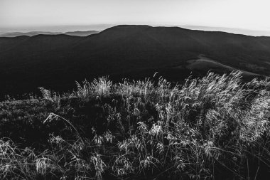 Polonya 'daki Bieszczady Dağları' ndaki Carynska Polonyna 'dan görüntü