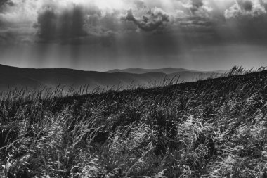 Polonya 'daki Bieszczady Dağları' ndaki Carynska Polonyna 'dan görüntü