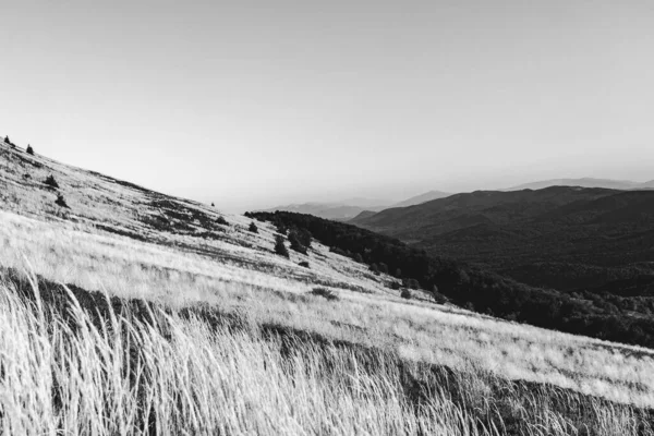 View Carynska Polonyna Bieszczady Hegység Lengyelországban — Stock Fotó